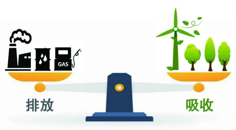 碳中和2.jpg